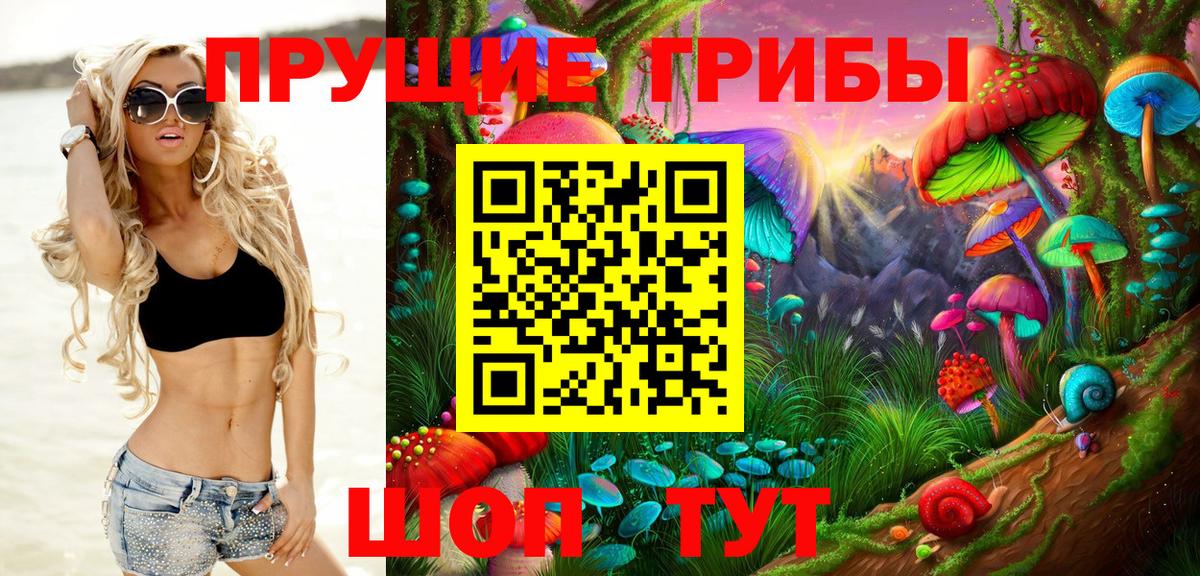 Псилоцибиновые грибы Psilocybe Зерноград