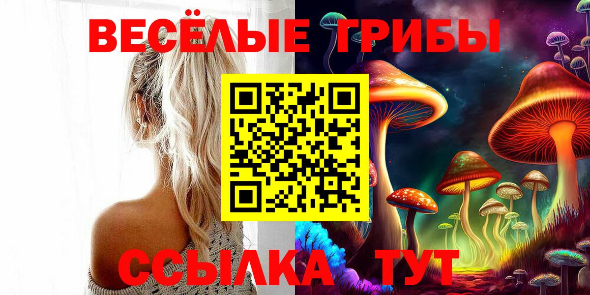 ГАШИШ Зерноград