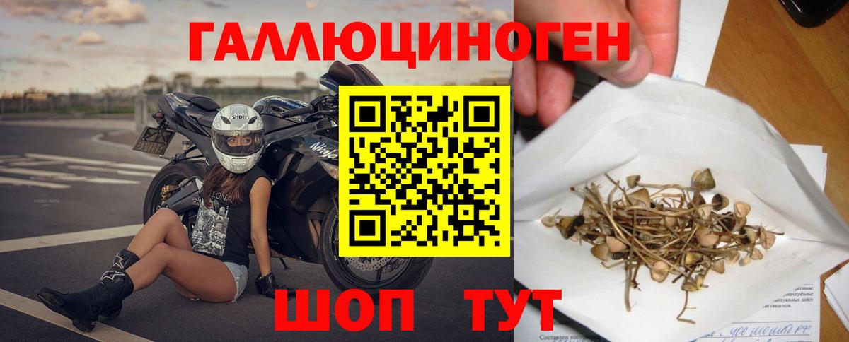 Псилоцибиновые грибы ЛСД  Вход с VPN  Псилоцибиновые грибы MAGIC MUSHROOMS  Зерноград 
