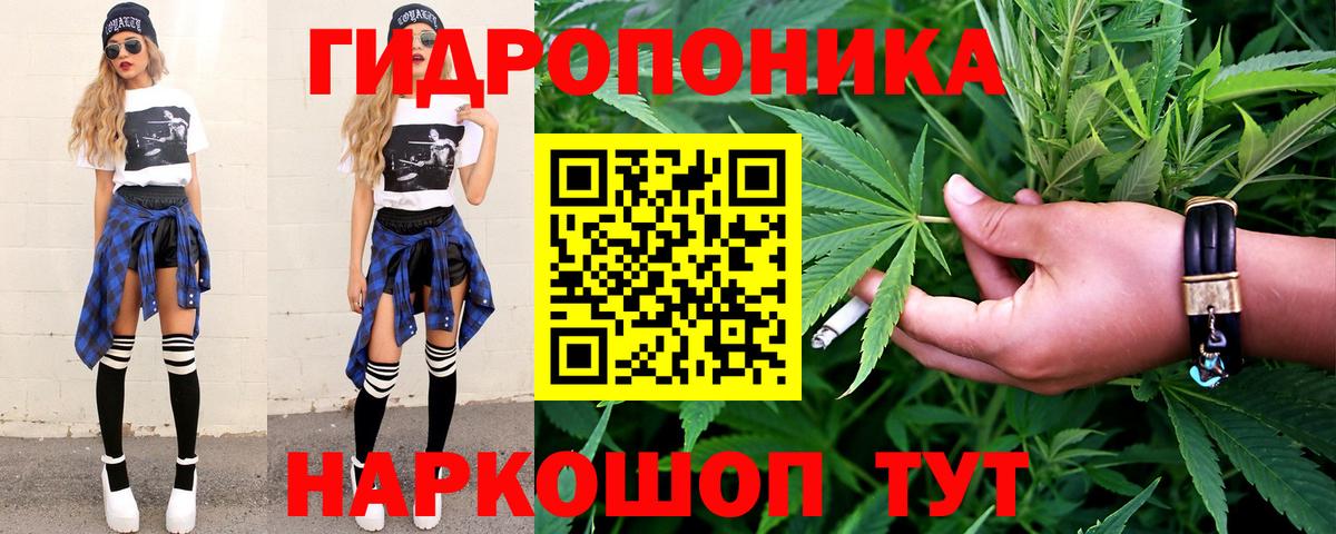 Каннабис MAZAR Зерноград